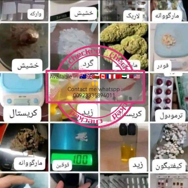 ๐ Indian Funny Videos Adda ๐คฃ WhatsApp Group Profile