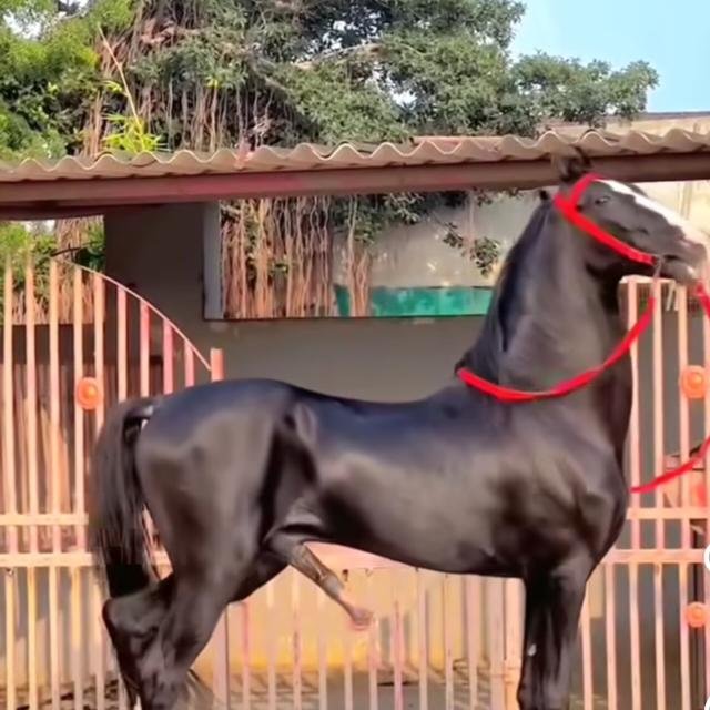 Pak Sexy Ride WhatsApp Group Profile